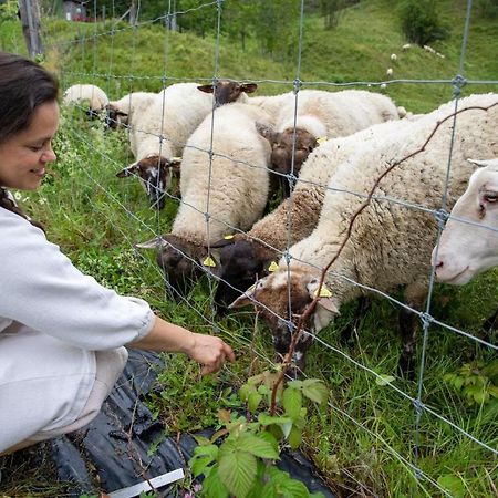 La Vieille Ferme ; l'Écogîte un loft campagnard Saint-Fulgence Extérieur photo