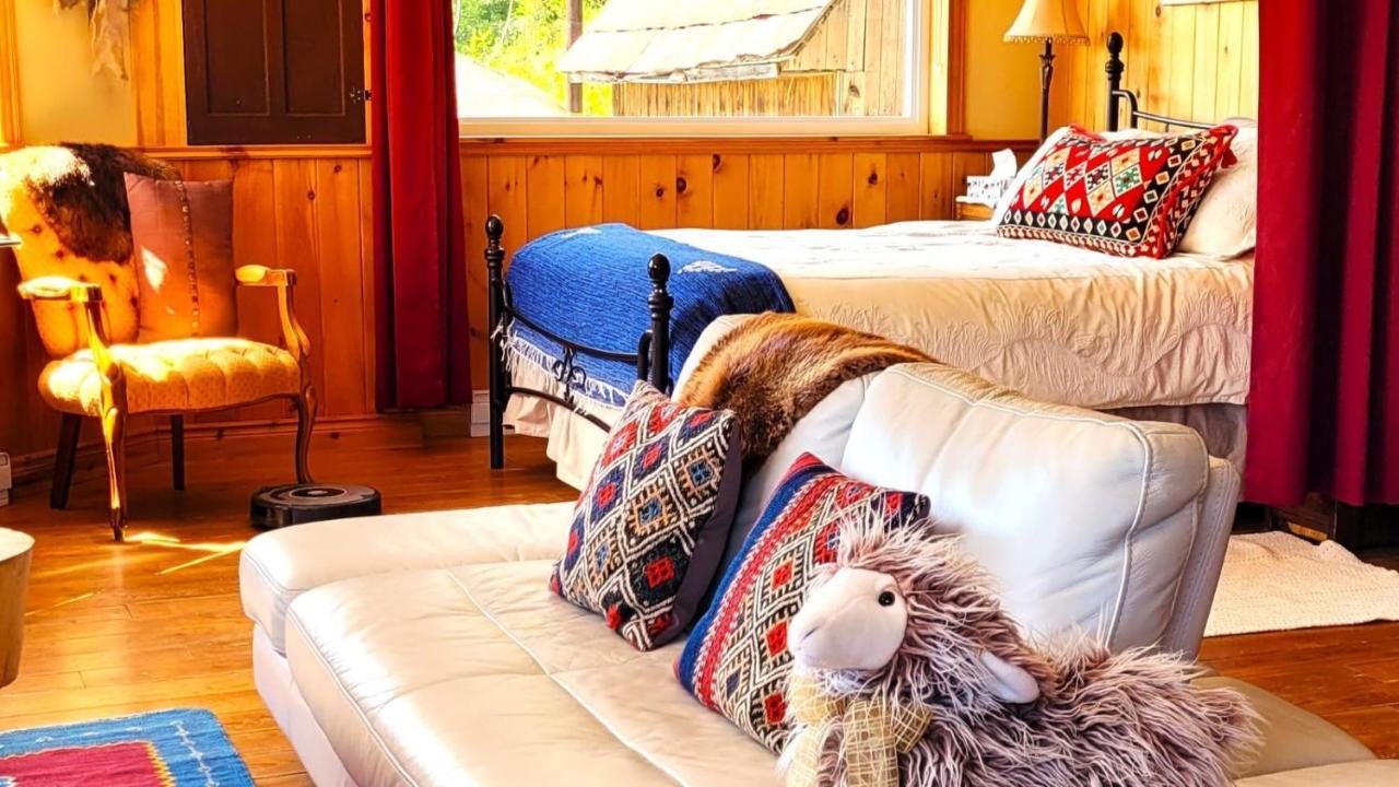 La Vieille Ferme ; l'Écogîte un loft campagnard Saint-Fulgence Extérieur photo