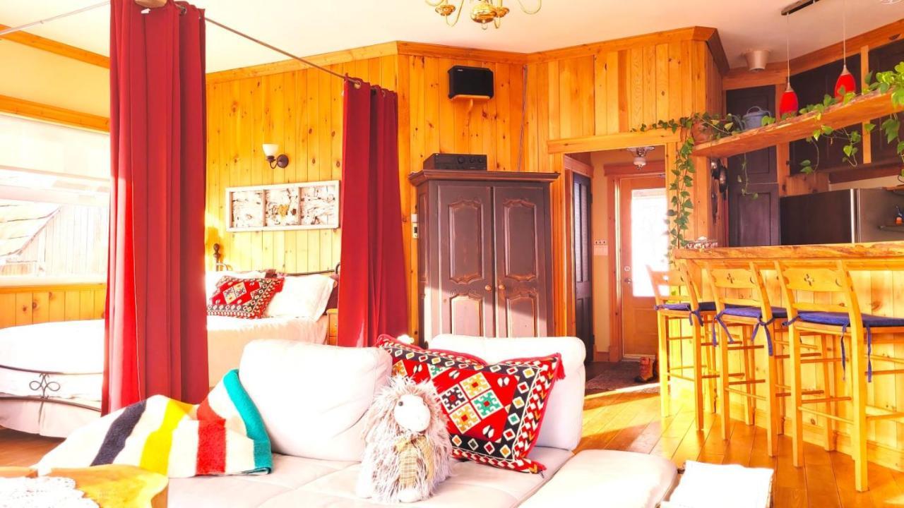 La Vieille Ferme ; l'Écogîte un loft campagnard Saint-Fulgence Extérieur photo