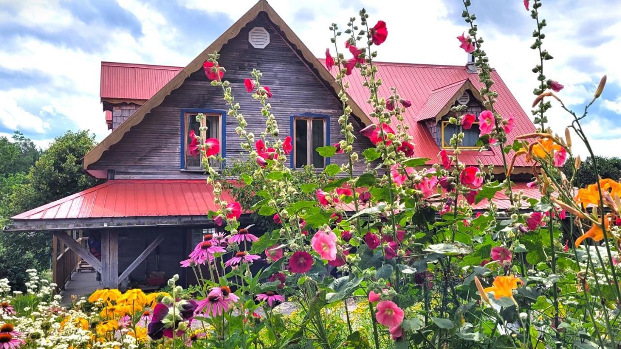 La Vieille Ferme ; l'Écogîte un loft campagnard Saint-Fulgence Extérieur photo