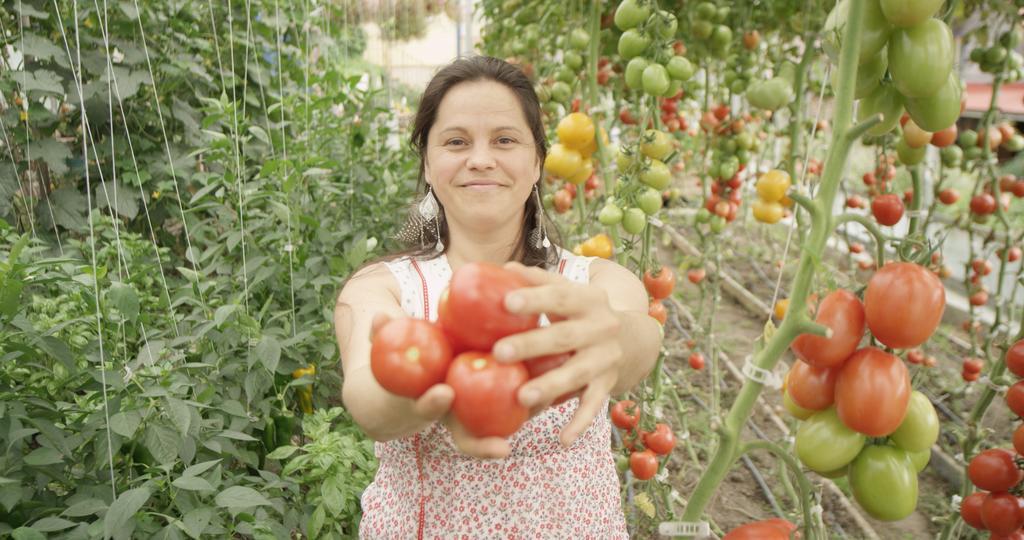 La Vieille Ferme ; l'Écogîte un loft campagnard Saint-Fulgence Extérieur photo