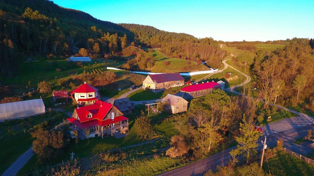 La Vieille Ferme ; l'Écogîte un loft campagnard Saint-Fulgence Extérieur photo